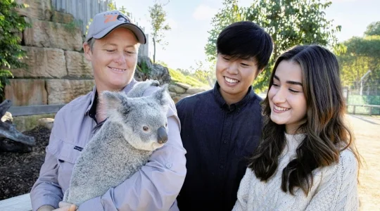 満喫ブルーマウンテンズ＆シドニー動物園またはフェザーデール動物園一日観光 by DOA